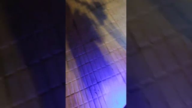 kugoo kirin m4 pro 1.200 km hechos reales y mi experiencia en poco tiempo no es buena con esta marc смотреть онлайн