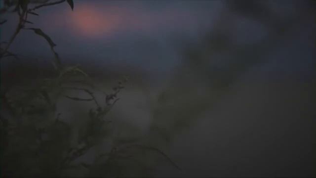 Помни, кто ты есть [COMMERCIAL VIDEO] смотреть онлайн