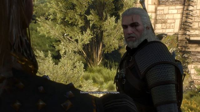 "Девушки" Лютика! (Ведьмак 3 Дикая Охота - ep.20) смотреть онлайн