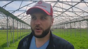 Тепличный бизнес. С чего начать? #ТепличныйБизнес #АгроБизнес #Теплицы #Теплица #СельскоеХозяйство