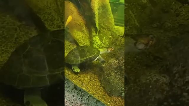 selwo marina spain смотреть онлайн