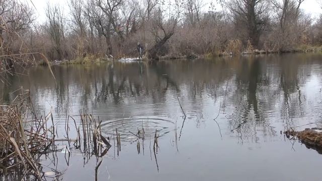 Перший льод рибалка на поплавок смотреть онлайн