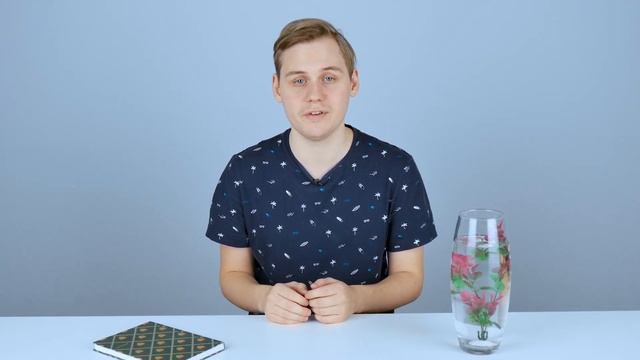 ЧТО ТАКОЕ КОРМ ВЫХОДНОГО ДНЯ ДЛЯ РЫБ? смотреть онлайн