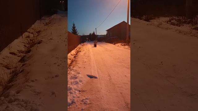 Зимние покатушки на мото смотреть онлайн