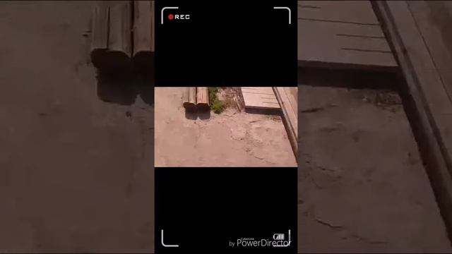 Плюсы дачи смотреть онлайн