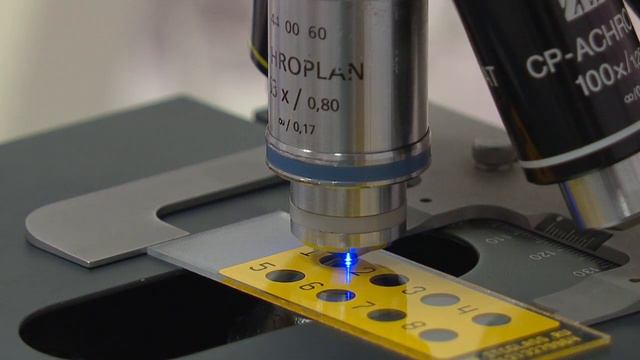 Эпидситуация в Гомельской области