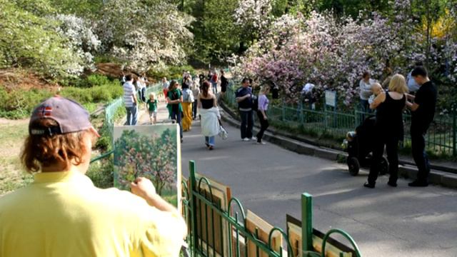 Киев Цветёт Магнолия Ботсад Фомина смотреть онлайн