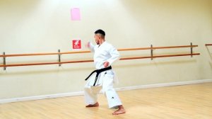 THE 5 HEIAN KATA OF SHOTOKAN KARATE