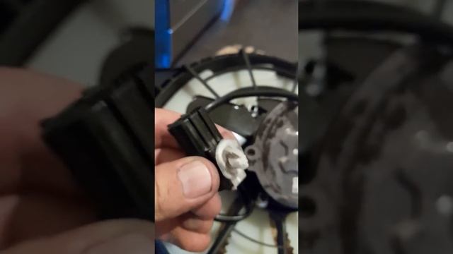 Чистка с приветом