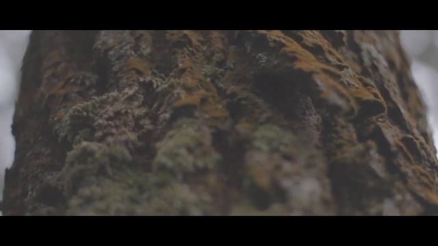 Cinematic Prewedding  | Canon 600D + Fix Lens Youngnou 50mm +Kit Lens