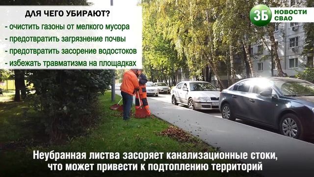 Зачем убирать опавшую листву? смотреть онлайн