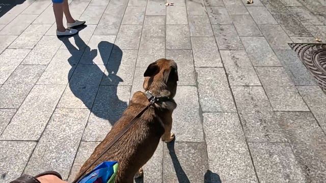 ▶️ Ялта сегодня Море.Подписчики смотреть онлайн