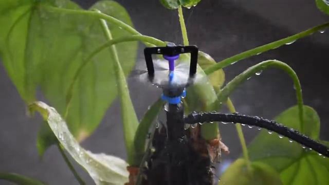 voi phun chong tac смотреть онлайн