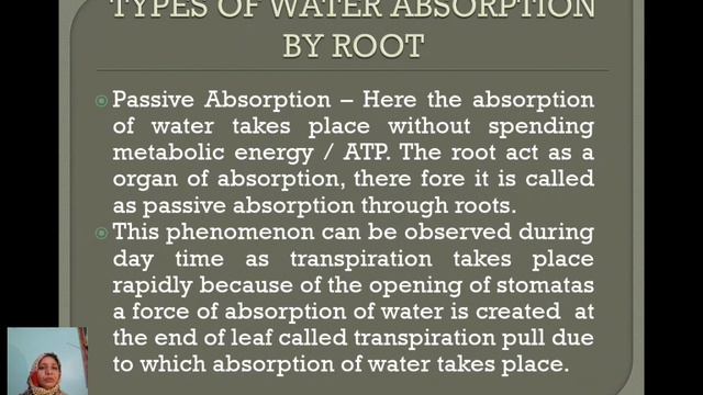 Plant Water Relations  Ascent Of Sap