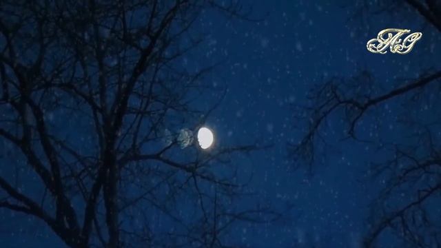 ?Медведь стоял, принюхивался и со злостью смотрел на него! Случай в тайге! смотреть онлайн