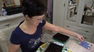 Сею лобелию, пикирую цинерарию, петунию, сельдерей.. 3 марта 2024 год.