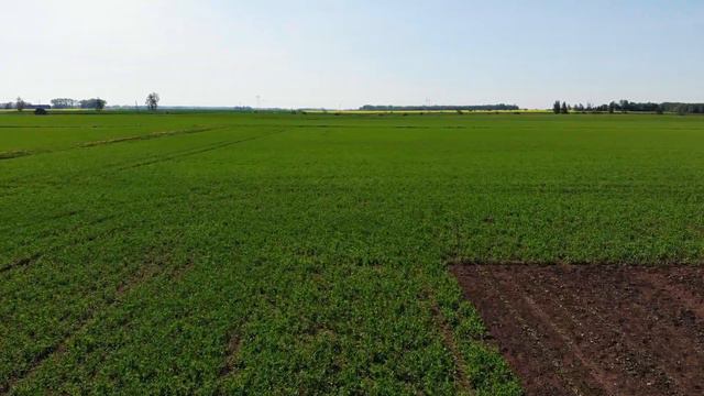 2019-05-19 Šlapakiai ore (ryte) смотреть онлайн