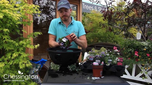 How To Make a Hanging Basket смотреть онлайн