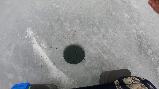 ОН КЛЮНУЛ ! ТРОФЕЙНЫЙ ЛЕЩ ЗИМОЙ ! смотреть онлайн