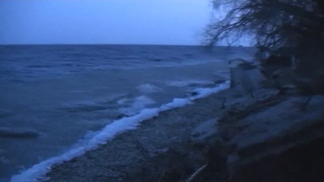 vatravel.ru Бущующая Волга, дуб-патриарх (Дубовка, Волгоградская обл) смотреть онлайн