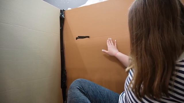 ПОБЕГ ИЗ КАРТОННОЙ ТЮРЬМЫ С КОТАМИ ЧЕЛЛЕНДЖ смотреть онлайн