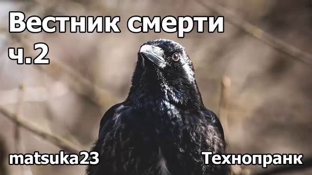 Технопранк от Matsuka23 - Вестник смерти ч.2 смотреть онлайн
