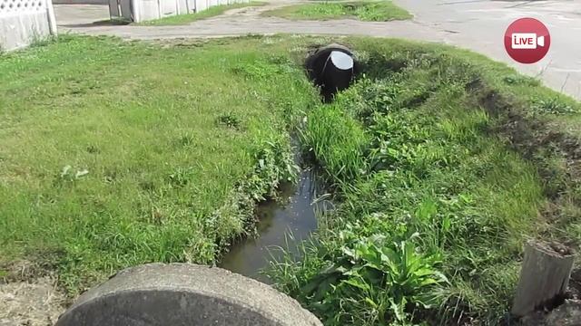 Кто знает, где в Слониме находится речка Вельжабка, в которой утонула женщина? смотреть онлайн