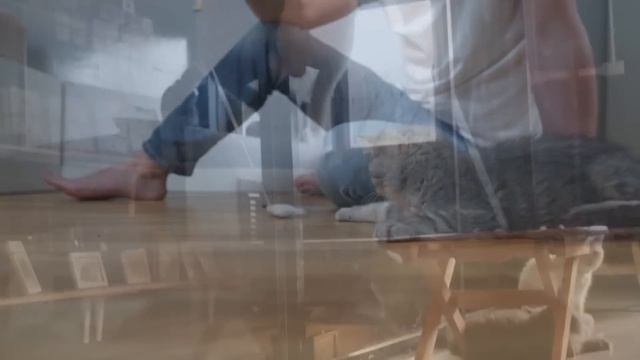 The CRUCIAL Differences Between MALE & FEMALE Cats смотреть онлайн