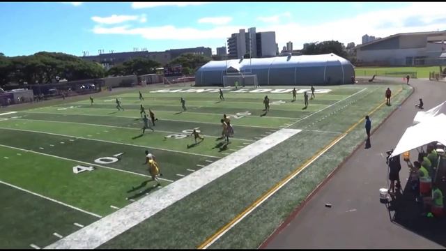 First-Year Highlights - Daniel Jebri - Class of 26’ смотреть онлайн