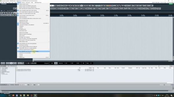 Reaper SWS и ReaPack установка дополнений.