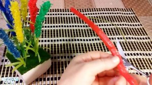 ЛАВАНДА, Цветы из коктейльных трубочек и Кот"Фунтик", ВЛОГ