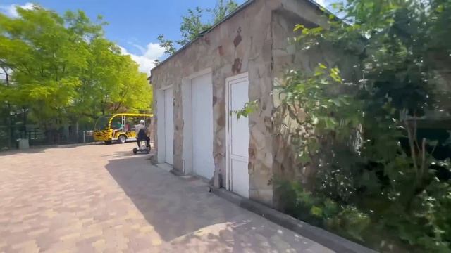 Косуленок, Люся и котенок ЕДУТ В ВОЛЬЕР, а шимпанзе Джим УСТРОИЛ ВЕСЕЛОЕ ШОУ! смотреть онлайн