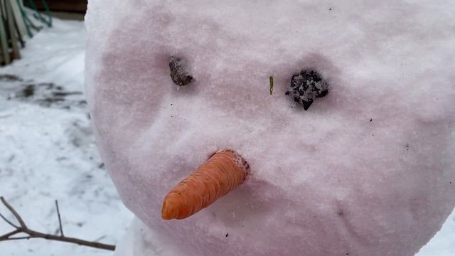 Как слепить снеговика из рыхлого снега. Наша маленькая традиция❤️ смотреть онлайн