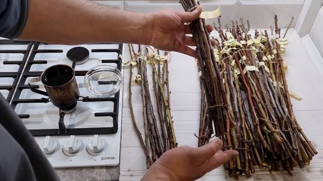 РОЗПОЧАВСЯ СЕЗОН ЗАМОВЛЕНЬ ЖИВЦІВ ПЛОДОВИХ ДЕРЕВ смотреть онлайн