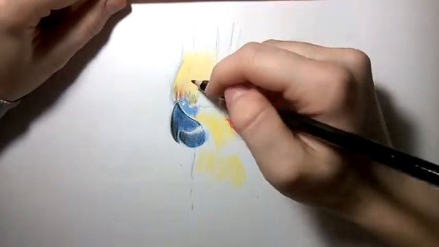 Рисунок кореллы смотреть онлайн