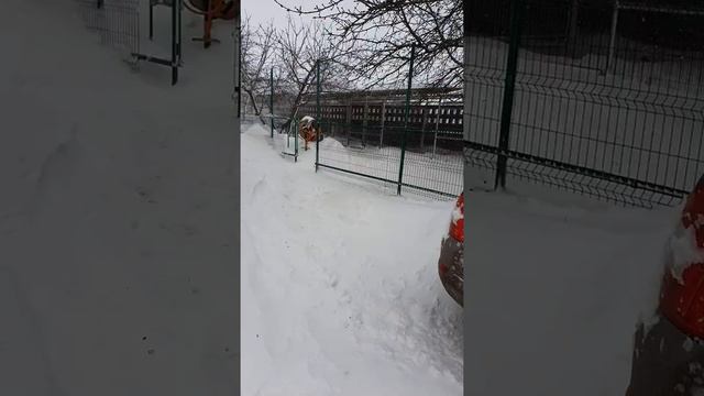 Одесса в снегу… 28.01.2021. смотреть онлайн