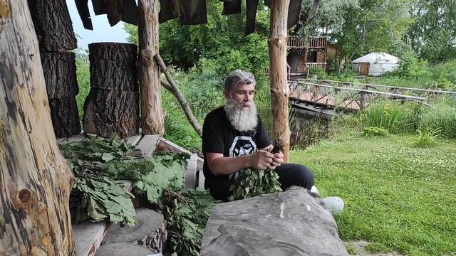 Собираем и вяжем веники для бани. //Живая Баня Иван Бояринцев смотреть онлайн
