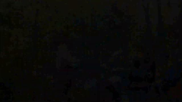 Соревнования в Токсово смотреть онлайн