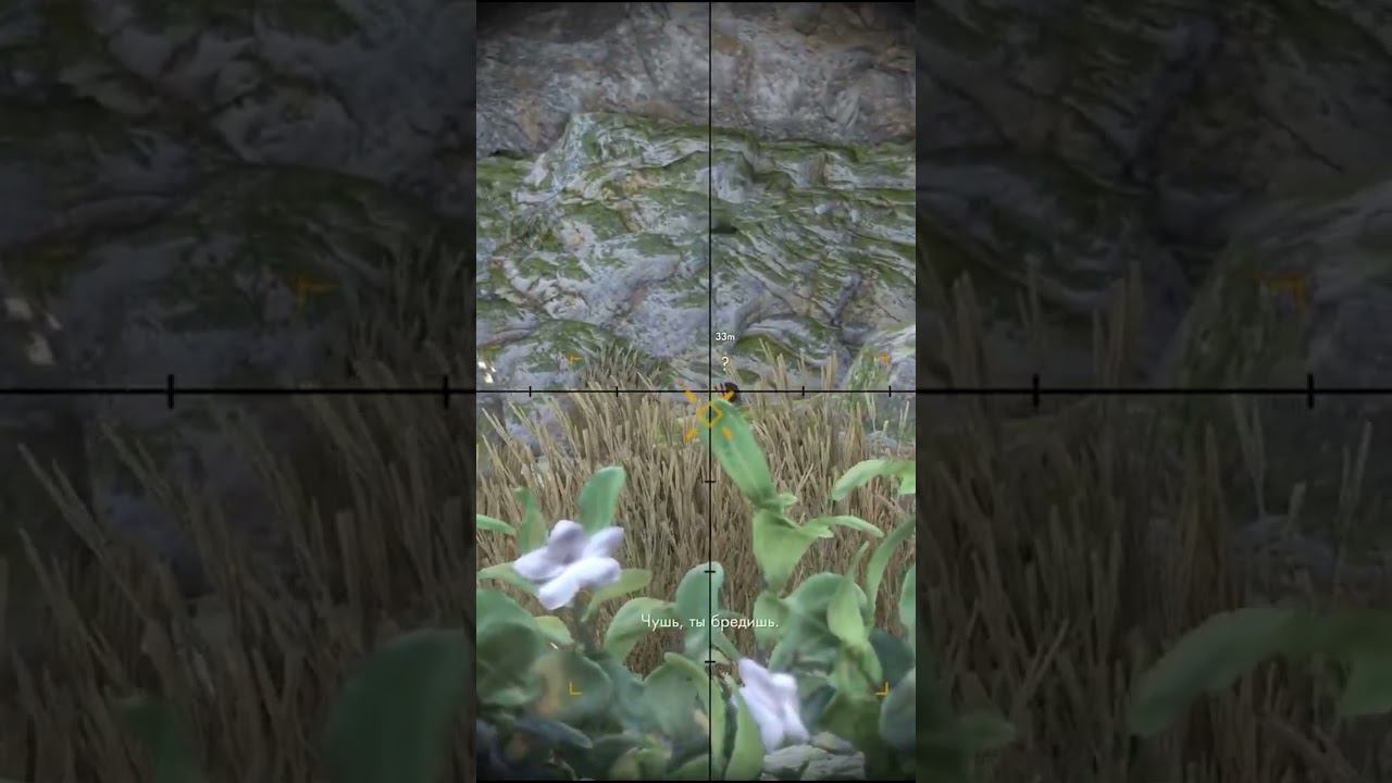 ТОЧНЫЙ ВЫСТРЕЛ В SNIPER ELITE 4 ОТ DV GAME#shorts смотреть онлайн