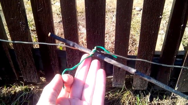 Подвязка винограда весной после открытия кустов. РАЗМЕЩЕНИЕ ЛОЗ НА ШПАЛЕРЕ. смотреть онлайн