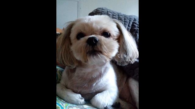 Incubus | Mattastrophic Music | Classic Mode смотреть онлайн