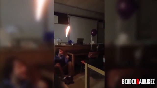 Приколы с животными смотреть онлайн