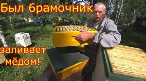 ШЕСТИРАМОЧНИК ЗАЛИВАЕТ МЁДОМ!!! Карника на МЕДОСБОРЕ!