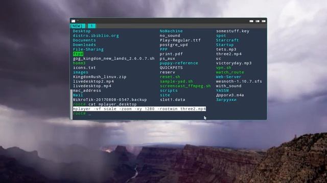 mplayer as a desktop wallpaper video player on puppy linux смотреть онлайн