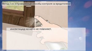 Как избавиться от пауков в доме