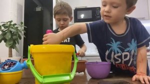 Сажаем подсолнух. Как вырастить подсолнух на окошке. SUNFLOWER