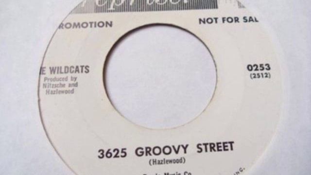 The Wildcats - "3625 Groovy Street" (1964) (Lee Hazlewood) смотреть онлайн