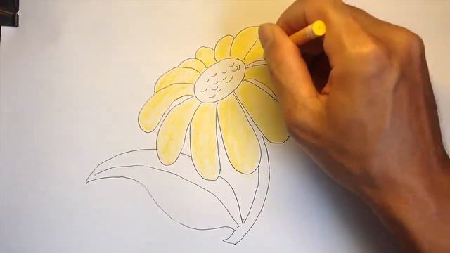 How To Draw A Gerbera - Learn To Draw - Art Space
