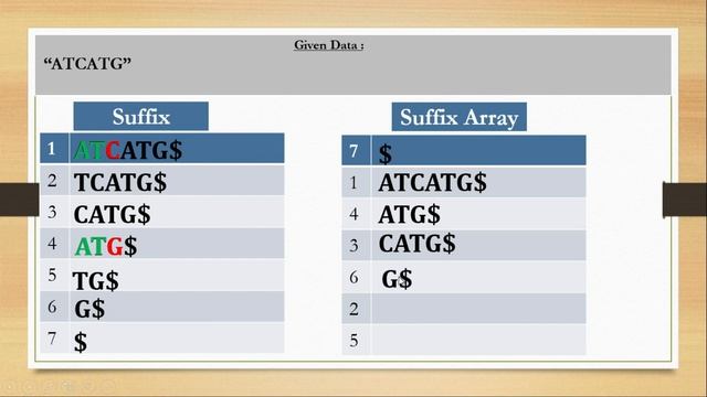 Suffix Array bangla || Genome Indexing (Suffix Array) смотреть онлайн