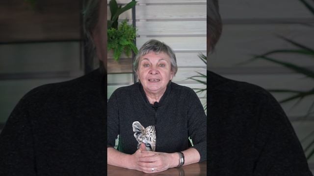 Что посадить рядом с Перцем? совмещенные посадки смотреть онлайн